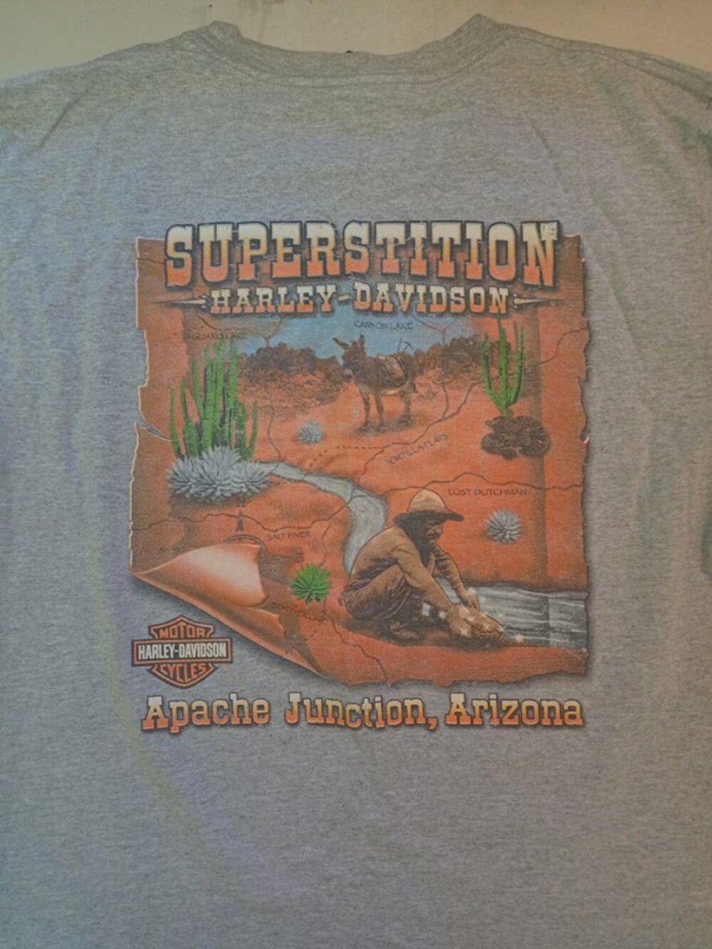 Vintage Harley Davidson Apache Junction Arizona Adult Medium Gray T Shirt EUC